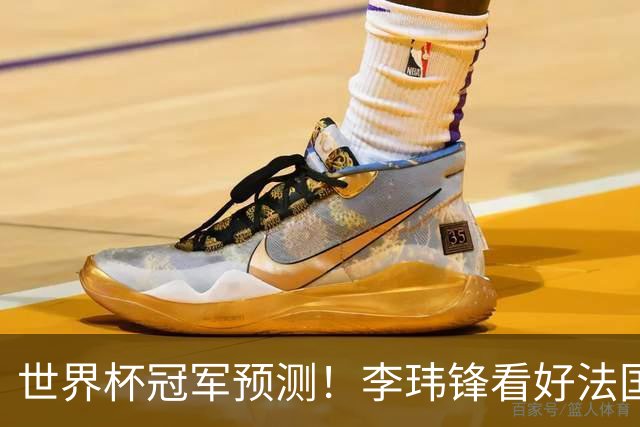 世界杯冠军预测！李玮锋看好法国队夺冠，范志毅看好阿根廷卫冕